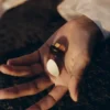 Naé Stud Earrings Edition Smoked glass